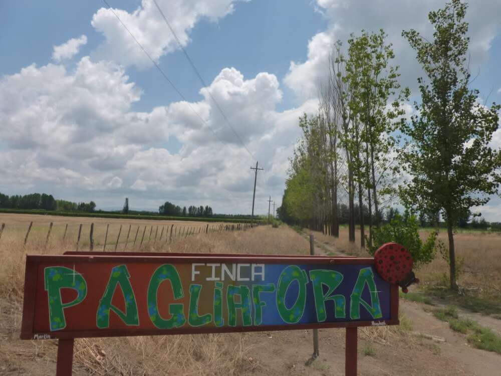 Foto 2